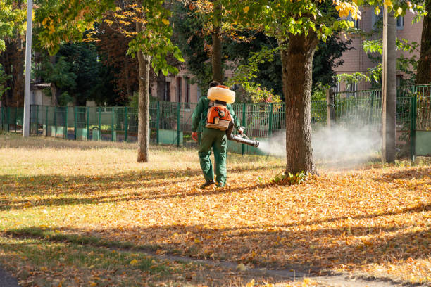 Wildlife Control Services in Elkins Park, PA